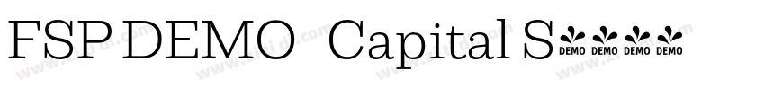 FSP DEMO   Capital S字体转换